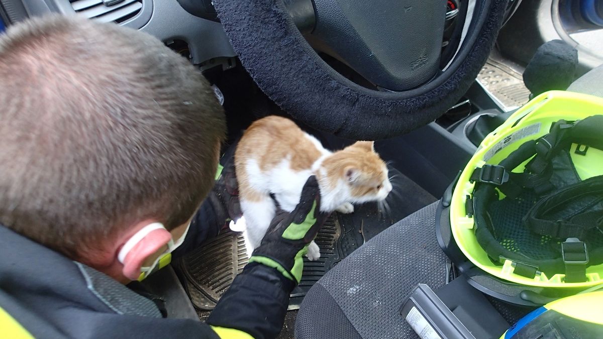 Karlovarští hasiči vyprostili zvědavou kočku. Uvízla mezi pedály auta